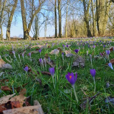 Im Koog בית נופש *