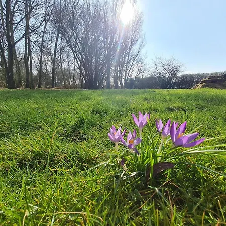 Im Koog בית נופש Tetenbull